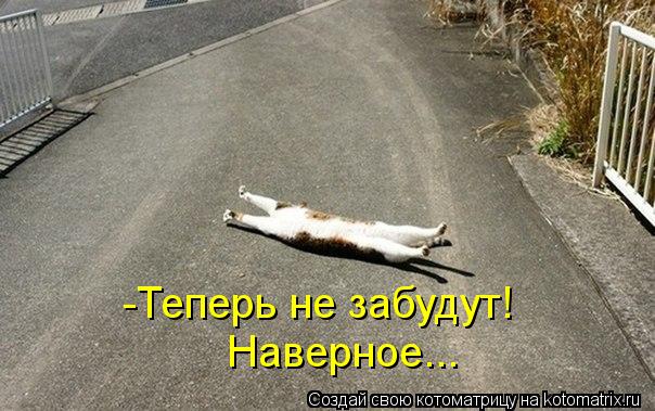 Котоматрица: -Теперь не забудут! Наверное...