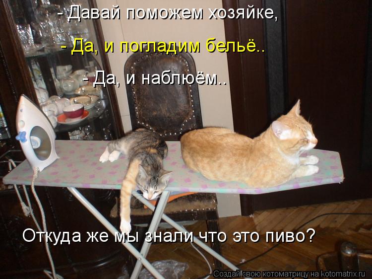 Котоматрица: - Давай поможем хозяйке, - Да, и погладим бельё.. - Да, и наблюём.. Откуда же мы знали что это пиво?