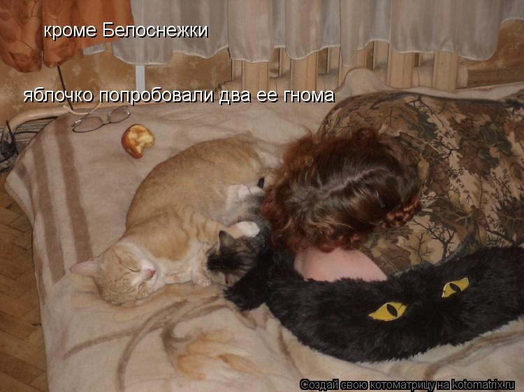 Котоматрица: кроме Белоснежки яблочко попробовали два ее гнома