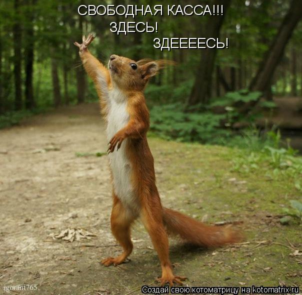 Котоматрица: СВОБОДНАЯ КАССА!!!  ЗДЕСЬ!   ЗДЕЕЕЕСЬ!