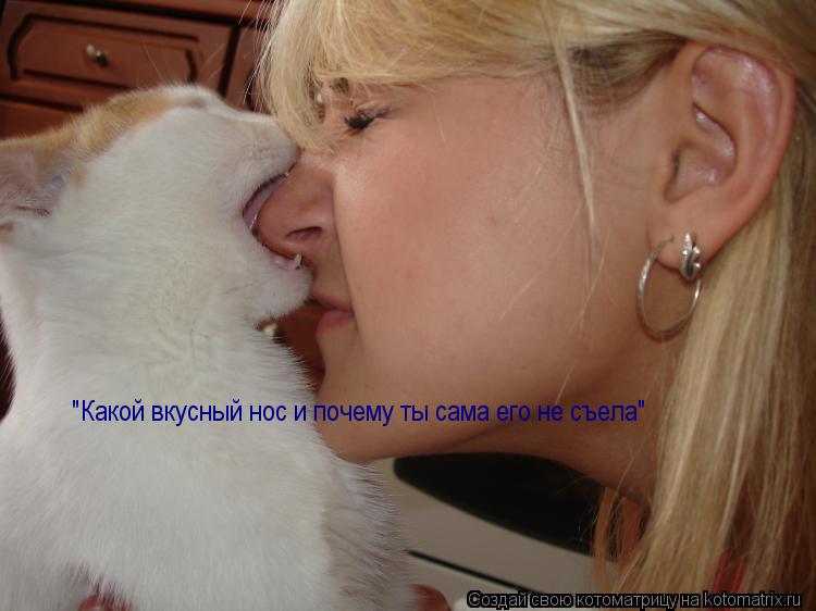 Котоматрица: "Какой вкусный нос и почему ты сама его не съела"