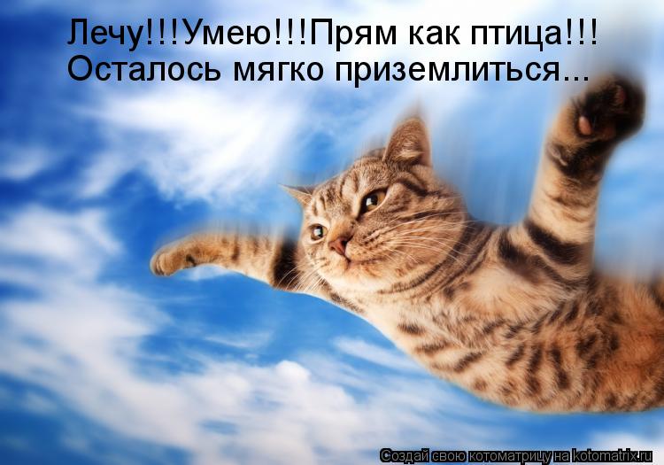 Лечу!!!Умею!!!Прям как птица!!! Осталось мягко приземлиться...... Котоматрица: Лечу!!!Умею!!!Прям как птица!!! Осталось мягко приземлиться...