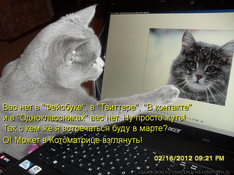 Вас нет в "Фейсбуке", в "Твиттере", "В контакте" и в "Одноклассниках" вас нет. Ну просто жуть! Так ... Котоматрица: Вас нет в "Фейсбуке", в "Твиттере", "В контакте" и в "Одноклассниках" вас нет. Ну просто жуть! Так с кем же я встречаться буду в марте? О! Может в