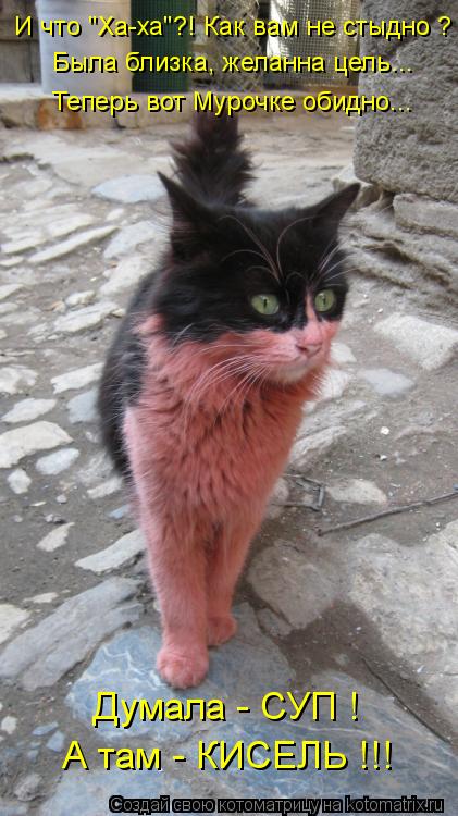 Думала - СУП ! А там - КИСЕЛЬ !!! И что "Ха-ха"?! Как вам не стыдно ? Была близка, желанна цель... ... Котоматрица: Думала - СУП ! А там - КИСЕЛЬ !!! И что "Ха-ха"?! Как вам не стыдно ? Была близка, желанна цель... Теперь вот Мурочке обидно...