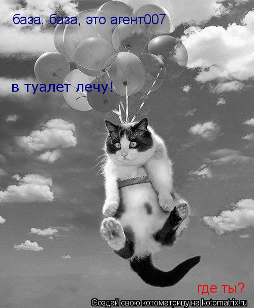 база, база, это агент007 где ты? в туалет лечу!... Котоматрица: база, база, это агент007 где ты? в туалет лечу!