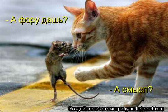 Котоматрица: - А фору дашь? - А смысл?