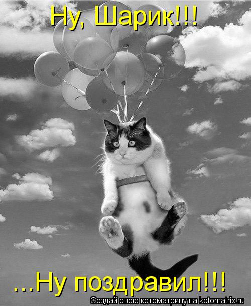 Ну, Шарик!!! ...Ну поздравил!!!... Котоматрица: Ну, Шарик!!! ...Ну поздравил!!!