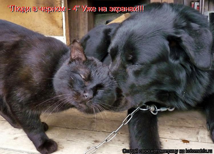 "Люди в черном - 4" Уже на экранах!!! "Люди в черном - 4" Уже на экранах!!!... Котоматрица: "Люди в черном - 4" Уже на экранах!!! "Люди в черном - 4" Уже на экранах!!!