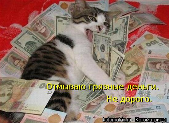 Отмываю грязные деньги. Не дорого.... Котоматрица: Отмываю грязные деньги. Не дорого.