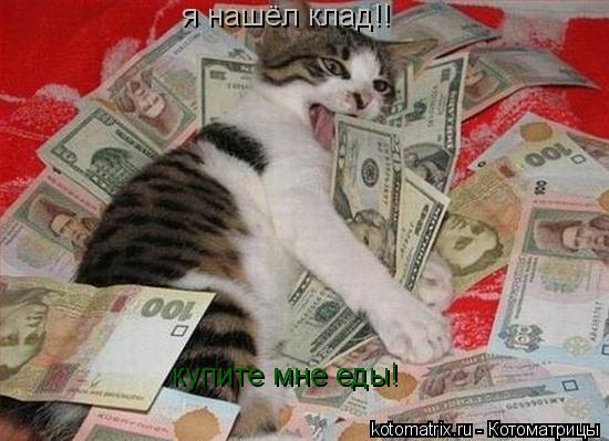 я нашёл клад!! купите мне еды!... Котоматрица: я нашёл клад!! купите мне еды!