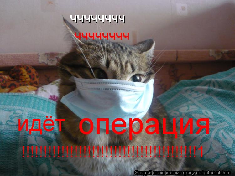 чччччччч чччччччч идёт операция !!!!!!!!!!!!!!!!!!!!!!!!!!!!!!!!!!!!!!!!1... Котоматрица: чччччччч чччччччч идёт операция !!!!!!!!!!!!!!!!!!!!!!!!!!!!!!!!!!!!!!!!1