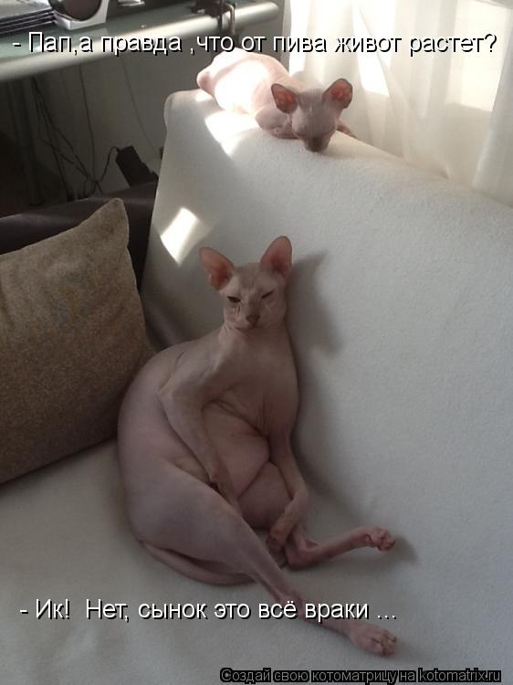 - Пап,а правда ,что от пива живот растет? - Ик! Нет, сынок это всё враки ...... Котоматрица: - Пап,а правда ,что от пива живот растет? - Ик! Нет, сынок это всё враки ...