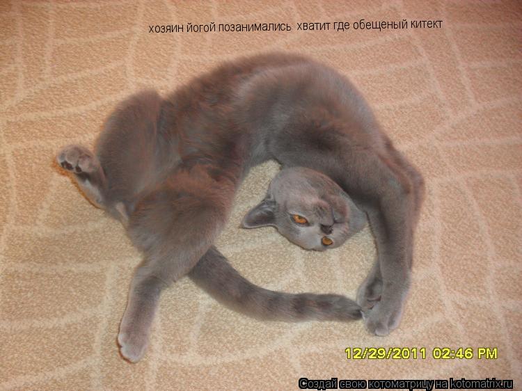 хозяин йогой позанимались хватит где обещеный китект хозяин йогой позанимались хватит где обещеный ... Котоматрица: хозяин йогой позанимались хватит где обещеный китект хозяин йогой позанимались хватит где обещеный китект