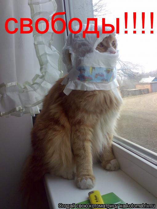 свободы!!!!... Котоматрица: свободы!!!!