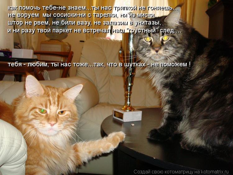 Котоматрица: как помочь тебе-не знаем...ты нас тряпкой не гоняешь... не воруем  мы сосиски-ни с тарелки, ни из миски, штор не рвем, не били вазу, не залазим в у
