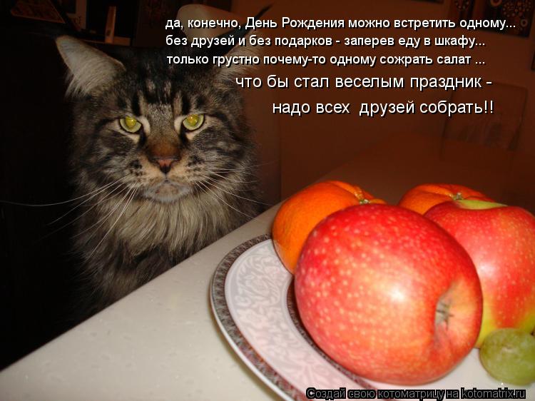 Котоматрица: да, конечно, День Рождения можно встретить одному... без друзей и без подарков - заперев еду в шкафу... только грустно почему-то одному сожрать