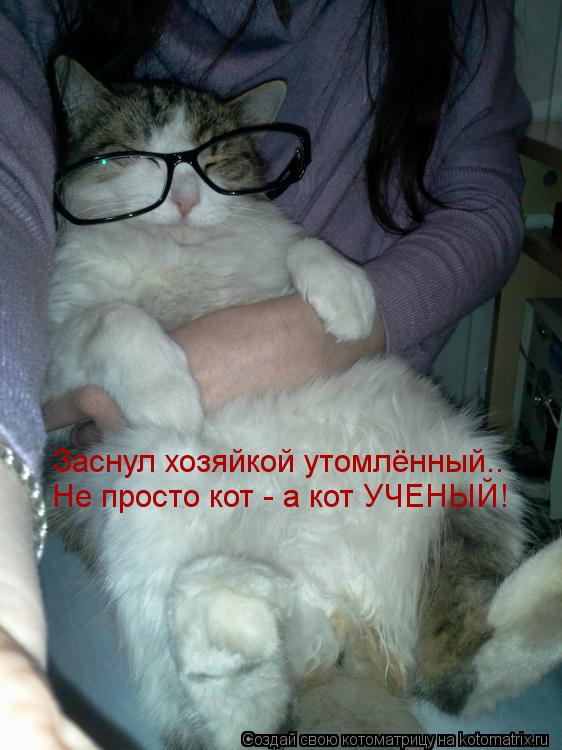 Котоматрица: Заснул хозяйкой утомлённый.. Не просто кот - а кот УЧЕНЫЙ!
