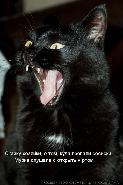 Котоматрица: Сказку хозяйки, о том, куда пропали сосиски Мурка слушала с открытым ртом.