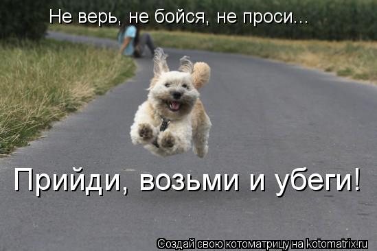 Котоматрица: Не верь, не бойся, не проси... Прийди, возьми и убеги!