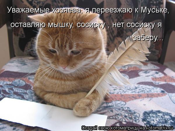Котоматрица: оставляю мышку, сосиску , нет сосиску я Уважаемые хозяева, я переезжаю к Муське, заберу...