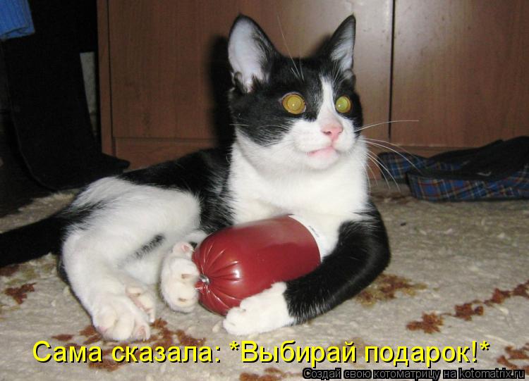 Котоматрица: Сама сказала: *Выбирай подарок!*