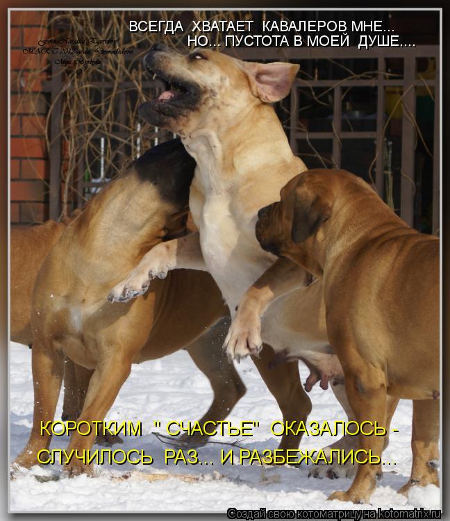 ВСЕГДА ХВАТАЕТ КАВАЛЕРОВ МНЕ... НО... ПУСТОТА В МОЕЙ ДУШЕ.... СЛУЧИЛОСЬ РАЗ... И РАЗБЕЖАЛИСЬ... К... Котоматрица: ВСЕГДА ХВАТАЕТ КАВАЛЕРОВ МНЕ... НО... ПУСТОТА В МОЕЙ ДУШЕ.... СЛУЧИЛОСЬ РАЗ... И РАЗБЕЖАЛИСЬ... КОРОТКИМ " СЧАСТЬЕ" ОКАЗАЛОСЬ -