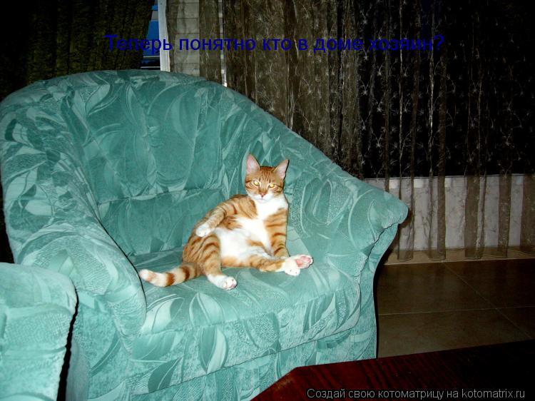 Теперь понятно кто в доме хозяин?... Котоматрица: Теперь понятно кто в доме хозяин?