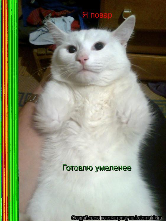 Я повар Готовлю умеленее... Котоматрица: Я повар Готовлю умеленее