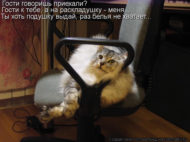 Гости говоришь приехали? Гости к тебе, а на раскладушку - меня... Ты хоть подушку выдай, раз белья н... Котоматрица: Гости говоришь приехали? Гости к тебе, а на раскладушку - меня... Ты хоть подушку выдай, раз белья не хватает...