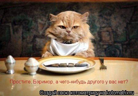Простите, Бэримор, а чего-нибудь другого у вас нет?... Котоматрица: Простите, Бэримор, а чего-нибудь другого у вас нет?