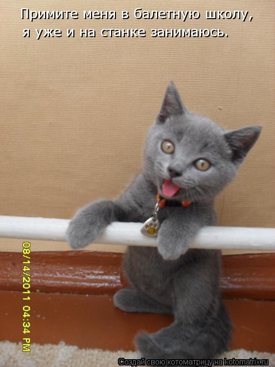 Примите меня в балетную школу, я уже и на станке занимаюсь.... Котоматрица: Примите меня в балетную школу, я уже и на станке занимаюсь.