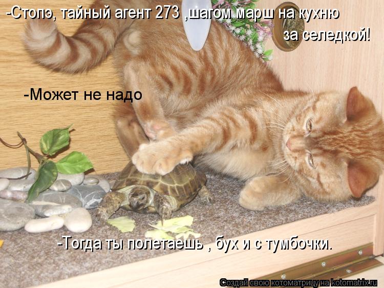 -Стопэ, тайный агент 273 ,шагом марш на кухню за селедкой! -Может не надо -Тогда ты полетаешь , бух ... Котоматрица: -Стопэ, тайный агент 273 ,шагом марш на кухню за селедкой! -Может не надо -Тогда ты полетаешь , бух и с тумбочки.