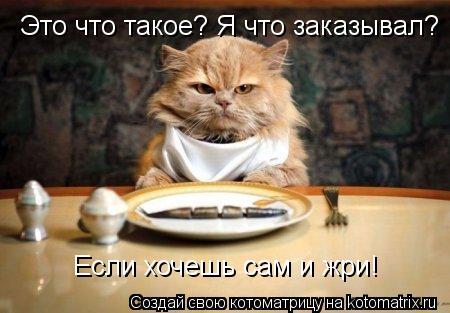 Это что такое? Я что заказывал? Если хочешь сам и жри!... Котоматрица: Это что такое? Я что заказывал? Если хочешь сам и жри!