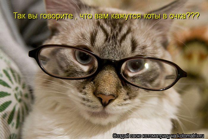 Так вы говорите , что вам кажутся коты в очка???... Котоматрица: Так вы говорите , что вам кажутся коты в очка???