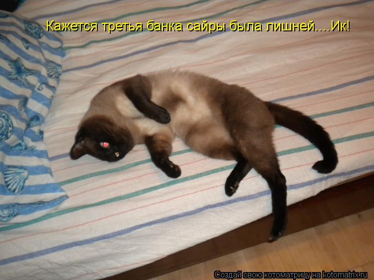 Кажется третья банка сайры была лишней....Ик!... Котоматрица: Кажется третья банка сайры была лишней....Ик!