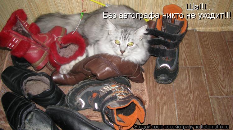 Ша!!!... Без автографа никто не уходит!!!... Котоматрица: Ша!!!... Без автографа никто не уходит!!!
