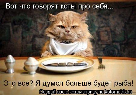 Это все? Я думол больше будет рыба! Вот что говорят коты про себя...... Котоматрица: Это все? Я думол больше будет рыба! Вот что говорят коты про себя...