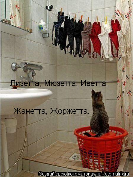 Котоматрица: Лизетта, Мюзетта, Иветта,  Жанетта, Жоржетта...