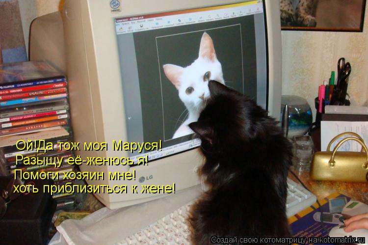 Котоматрица: Ой!Да тож моя Маруся! Разыщу её-женюсь я! Помоги хозяин мне! хоть приблизиться к жене!