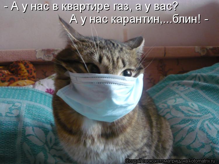 Котоматрица: - А у нас в квартире газ, а у вас? А у нас карантин,...блин! -