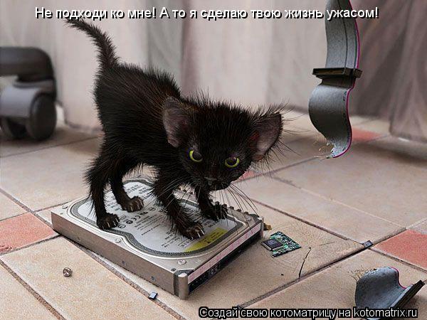 Котоматрица: Не подходи ко мне! А то я сделаю твою жизнь ужасом!
