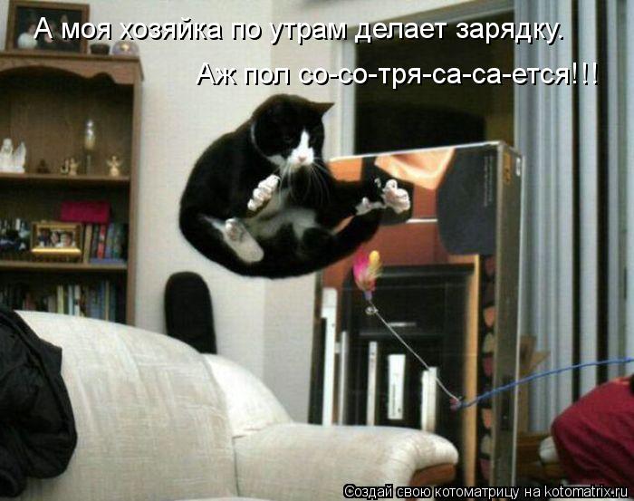 Котоматрица: А моя хозяйка по утрам делает зарядку. Аж пол со-со-тря-са-са-ется!!!