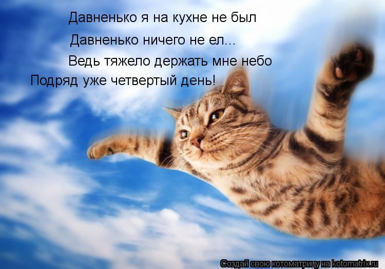 Котоматрица: Давненько я на кухне не был Давненько ничего не ел... Ведь тяжело держать мне небо Подряд уже четвертый день!