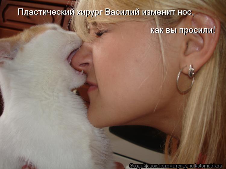 Котоматрица: Пластический хирург Василий изменит нос, как вы просили!