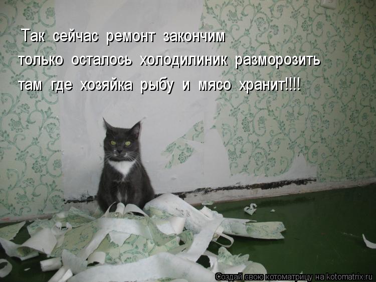 Котоматрица: Так  сейчас  ремонт  закончим   только  осталось  холодилиник  разморозить   там  где  хозяйка  рыбу  и  мясо  хранит!!!!