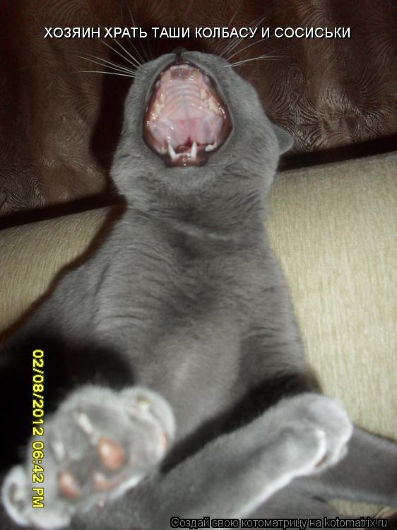 Котоматрица: ХОЗЯИН ХРАТЬ ТАШИ КОЛБАСУ И СОСИСЬКИ