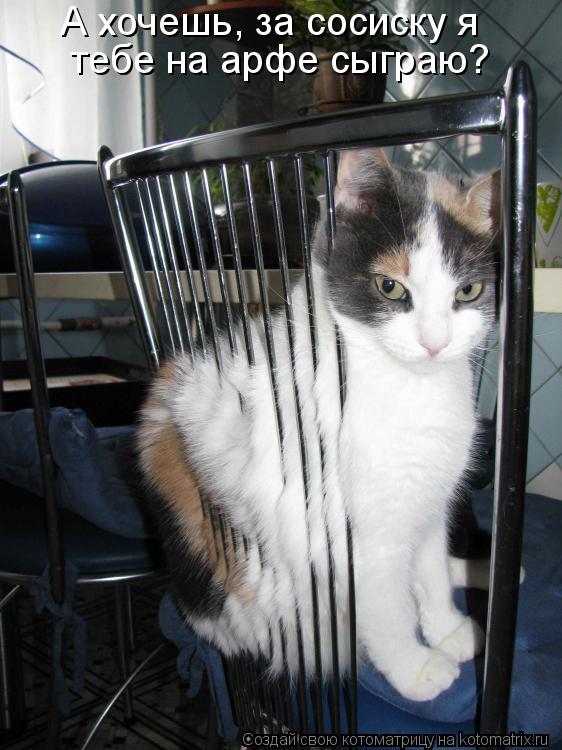 Котоматрица: А хочешь, за сосиску я  тебе на арфе сыграю?