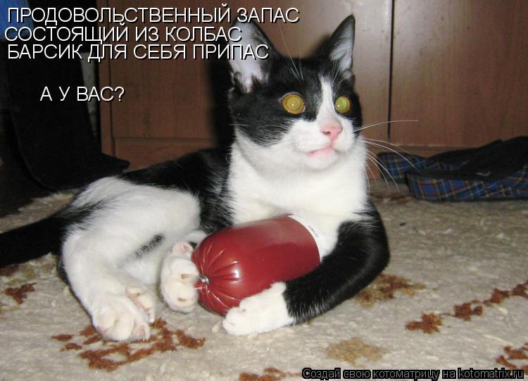 Котоматрица: ПРОДОВОЛЬСТВЕННЫЙ ЗАПАС СОСТОЯЩИЙ ИЗ КОЛБАС БАРСИК ДЛЯ СЕБЯ ПРИПАС А У ВАС?