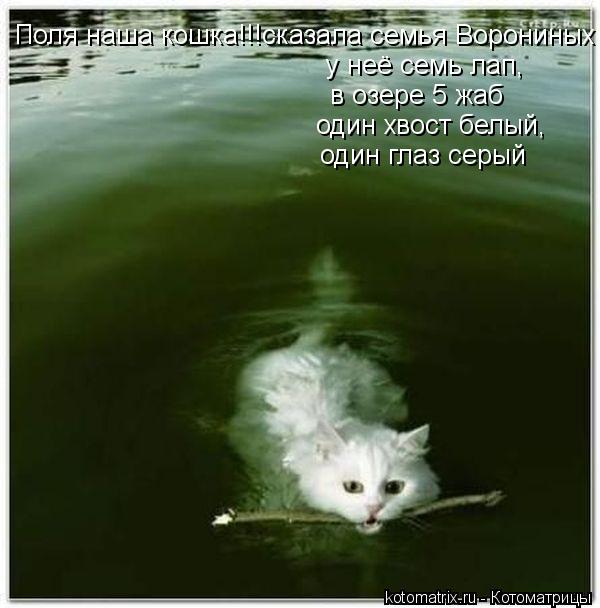 Котоматрица: Поля наша кошка!!!сказала семья Ворониных у неё семь лап, в озере 5 жаб один хвост белый, один глаз серый