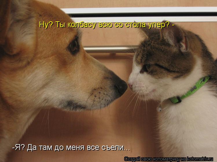 Котоматрица: Ну? Ты колбасу всю со стола упер? - -Я? Да там до меня все съели...
